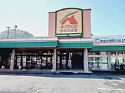 【スーパー】Ａコープやわたはま店様まで650ｍ