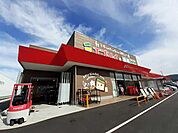 【スーパー】エブリイ総社南店まで1200ｍ