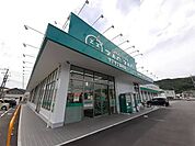 【ドラッグストア】ザグザグ金川店まで800ｍ