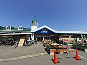 【ホームセンター】ダイキ総社西店まで2550ｍ