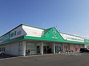 【ドラッグストア】ザグザグ白石店まで1800ｍ