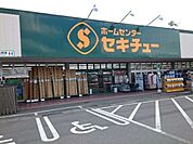 【ホームセンター】セキチュー安中店まで200ｍ
