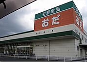 【スーパー】生鮮食品おだ出雲店まで280ｍ