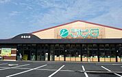 【スーパー】ラピタみなみ店まで850ｍ