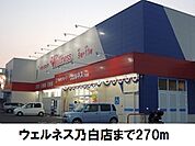 【ドラッグストア】ウェルネス乃白店まで270ｍ