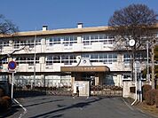 【中学校】真岡市立真岡中学校まで245ｍ