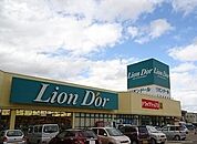【スーパー】リオン・ドール加茂店まで210ｍ