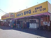 【スーパー】パワーセンターうおかつ安中店まで450ｍ