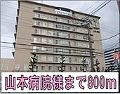 【総合病院】山本病院様まで800ｍ