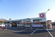 【ホームセンター】コメリハード＆グリーン薮塚店まで2400ｍ