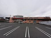 【ドラッグストア】クスリのアオキ渋川北店まで850ｍ