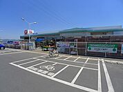 【ホームセンター】コメリ 城西の杜店まで750ｍ