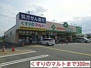 【ドラッグストア】くすりのマルトまで300ｍ