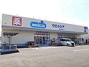 【ドラッグストア】ウェルシア福山東深津店まで450ｍ
