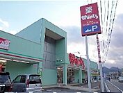 【ドラッグストア】ウォンツまで1300ｍ
