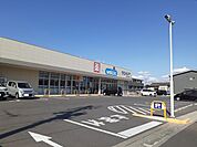 【ドラッグストア】ウエルシア東海大田町店まで250ｍ