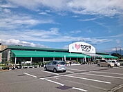 【ホームセンター】ヤスサキ 勝山店まで220ｍ
