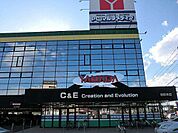 ヤマダデンキテックランド前橋本まで1000ｍ