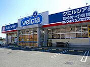 【ドラッグストア】ウエルシア薬局前橋上新田店まで400ｍ