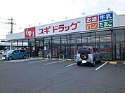 【ドラッグストア】スギドラッグ大塚店まで350ｍ