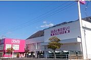【ドラッグストア】コスモスまで650ｍ