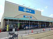 【スーパー】綿半フレッシュマーケットまで1200ｍ