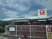 【ホームセンター】コメリ玖珂店まで1300ｍ