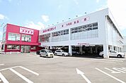 【ドラッグストア】コスモス川下店まで300ｍ