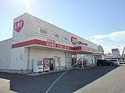 【ドラッグストア】くすりのレディ坂出南店まで1100ｍ