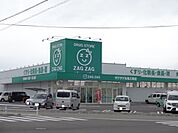 【ドラッグストア】ザグザグ丸亀三条店まで600ｍ