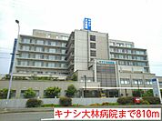 【総合病院】キナシ大林病院まで810ｍ