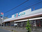 【スーパー】アルク秋月店まで1600ｍ
