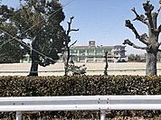 【小学校】南部小学校まで500ｍ