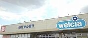 【ドラッグストア】ウエルシア白岡店まで700ｍ