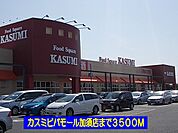 【スーパー】カスミビバモール加須店まで3500ｍ