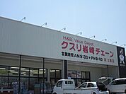 【ドラッグストア】岩崎チェーンまで700ｍ