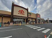 【スーパー】スーパーアルプス入間下藤沢店まで1500ｍ