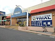 【スーパー】トライアル富田店まで750ｍ