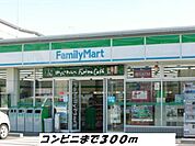 【コンビニエンスストア】ファミリーマートまで300ｍ