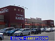 【スーパー】カスミビバモール加須店まで3200ｍ