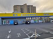 【ドラッグストア】マツモトキヨシ　さいたま本郷店まで210ｍ
