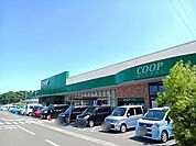 【スーパー】みやぎ生協塩竈栄店まで800ｍ