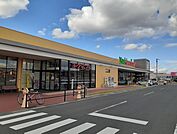 【スーパー】ヨークベニマル古川店まで550ｍ