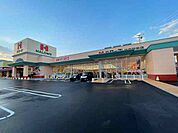 【スーパー】ハローズ防府新田店まで550ｍ