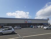 【ドラッグストア】カワチ薬品　古川店まで600ｍ