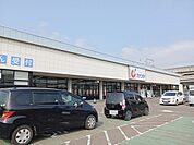 【ドラッグストア】カワチ薬品岩切店まで2000ｍ