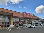 【スーパー】ウジエスーパー中里店まで800ｍ