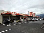 【スーパー】ザ・ビッグ甲西店まで800ｍ