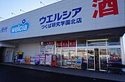 【ドラッグストア】ウエルシアつくば研究学園北店まで300ｍ