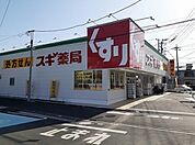 【ドラッグストア】スギドラッグ飯島町店まで830ｍ